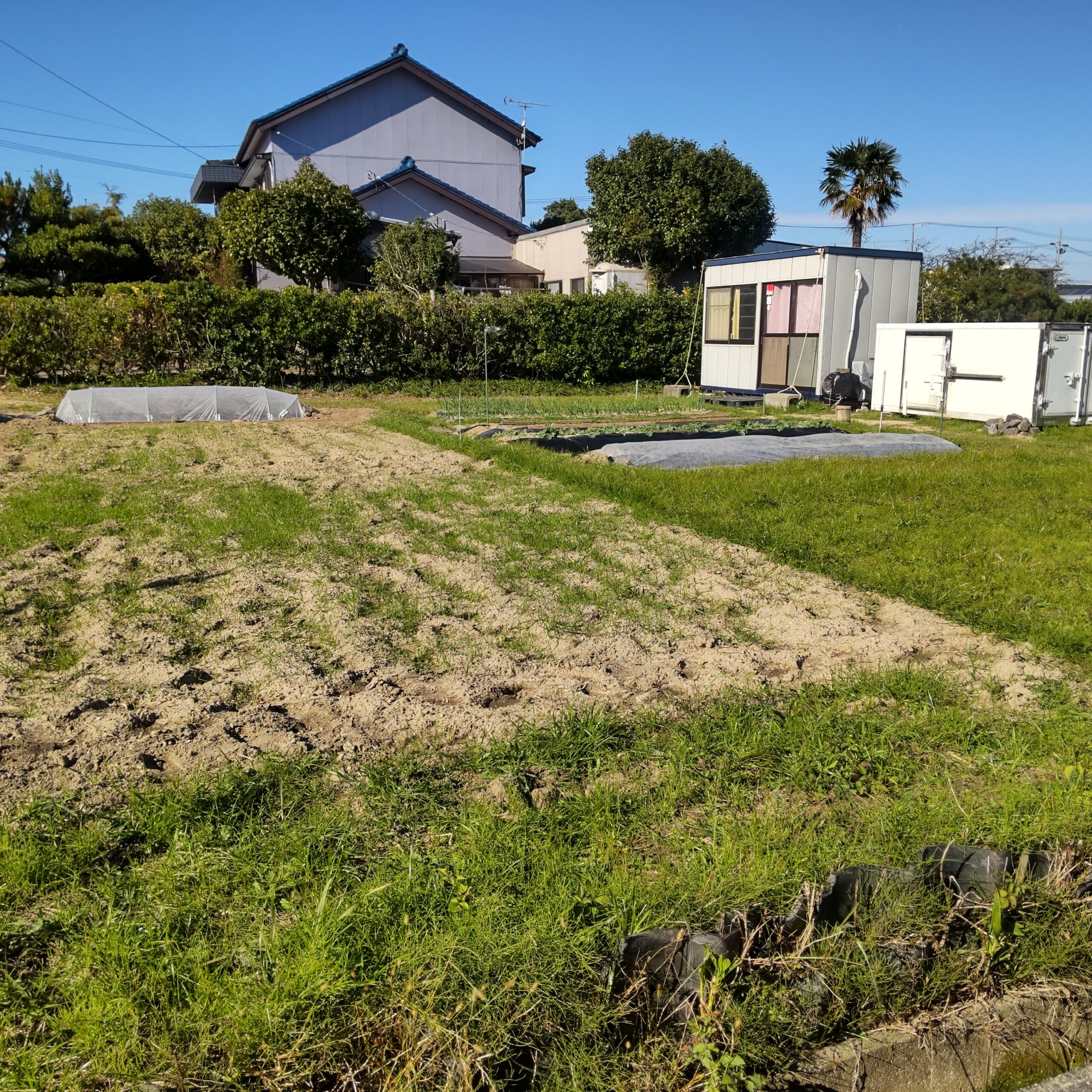 豊橋市　農地の売買です。